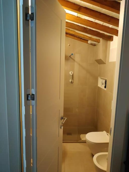 - Anthurium Apartment