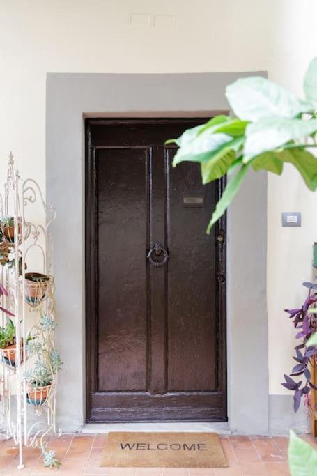 Apartment - Anthurium