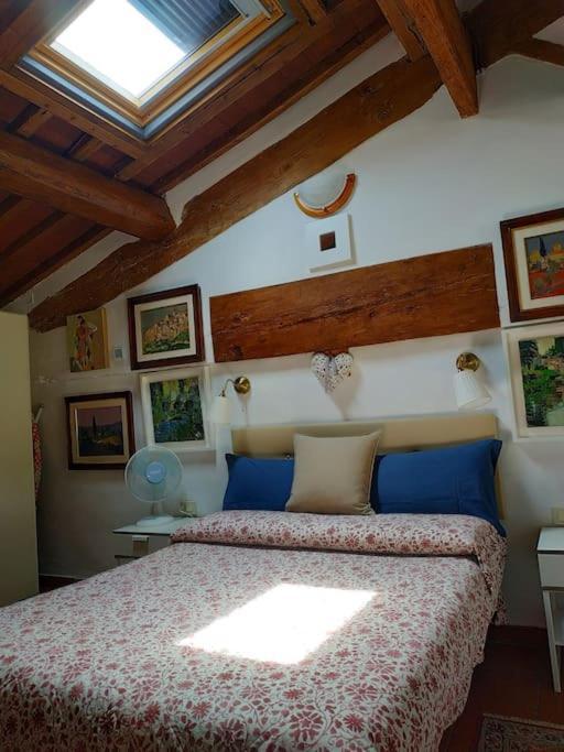 - Anthurium Apartment Florence